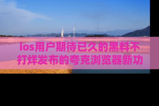 ios用户期待已久的黑料不打烊发布的夸克浏览器新功能上线啦！