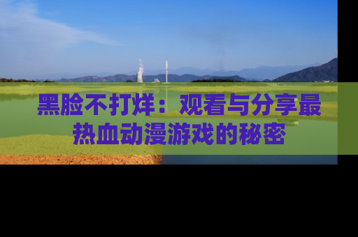 黑脸不打烊：观看与分享最热血动漫游戏的秘密