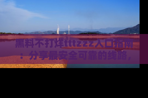 黑料不打烊tttzzz入口指南：分享最安全可靠的线路，轻松获取最新八卦！