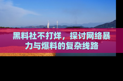 黑料社不打烊，探讨网络暴力与爆料的复杂线路