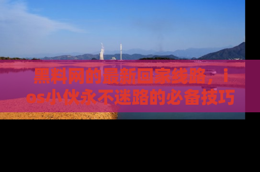 黑料网的最新回家线路，ios小伙永不迷路的必备技巧！