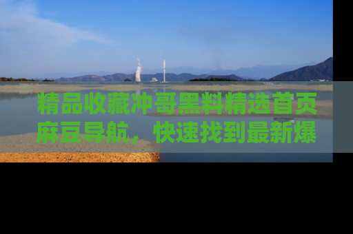 精品收藏冲哥黑料精选首页麻豆导航，快速找到最新爆料