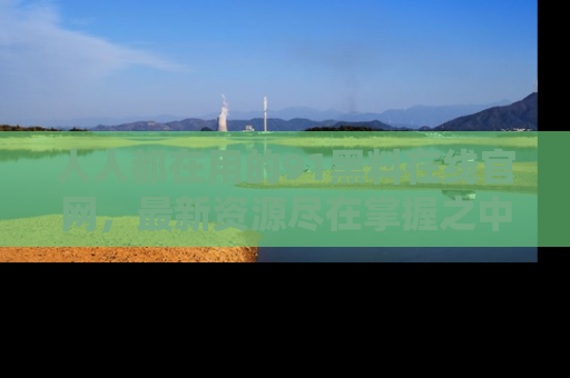 人人都在用的91黑料在线官网，最新资源尽在掌握之中