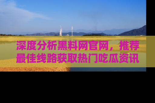 深度分析黑料网官网，推荐最佳线路获取热门吃瓜资讯
