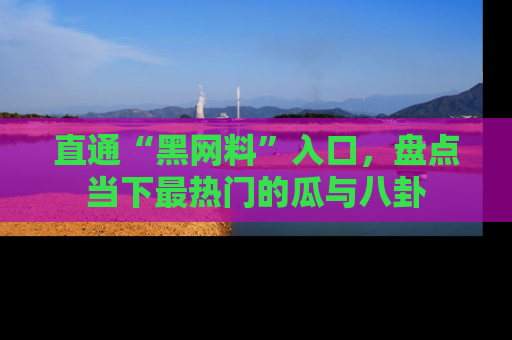 直通“黑网料”入口,盘点当下最热门的瓜与八卦